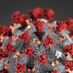 coronavirus picture